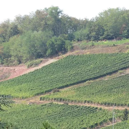 Chez Mamema Casa de Férias *